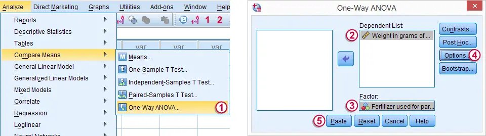 SPSS One Way ANOVA Dialog 1