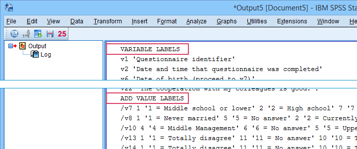 SPSS Label Cleaning Tool Output 1